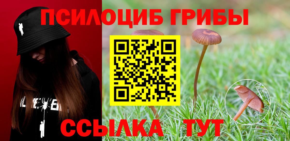 Галлюциногенные грибы Psilocybine cubensis Рославль