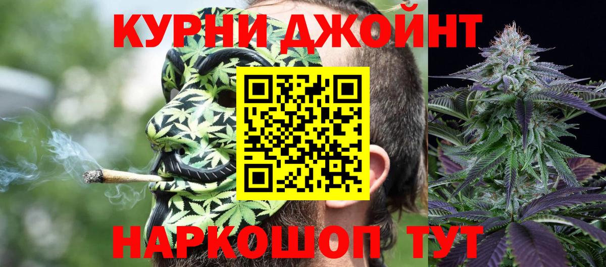 Канабис сатива  Вход с VPN  Рославль  Бошки марихуана Bruce Banner  Каннабис марихуана 